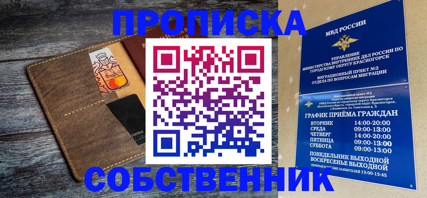 временная регистрация надежно в Курске